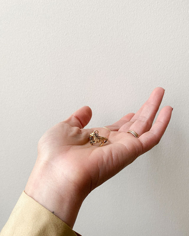 Capricorn Ring