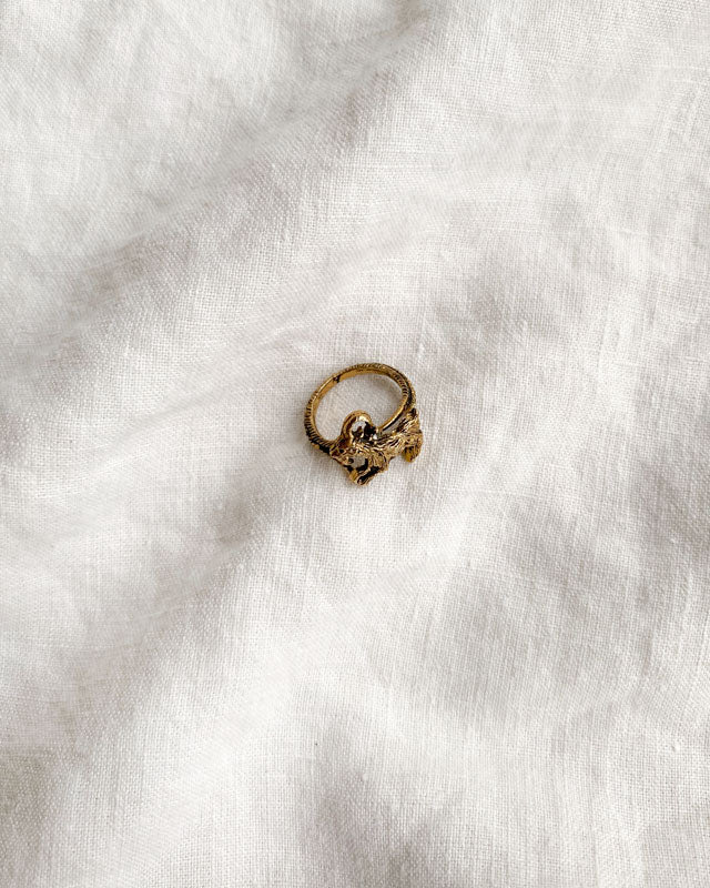 Capricorn Ring