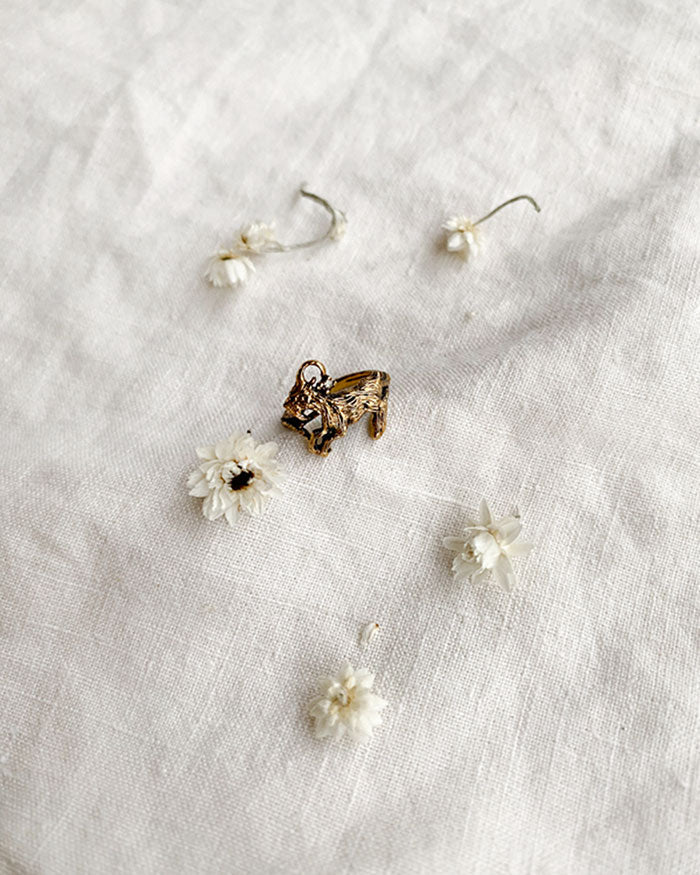 Capricorn Ring